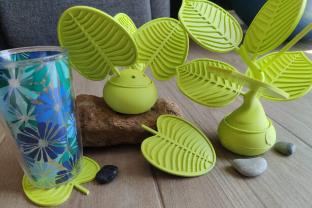 porta copos de planta